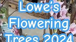 Lowe”s Garden Center 2024 #lowesplants