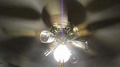 Air Cool FPV ceiling fan with a new set of globes