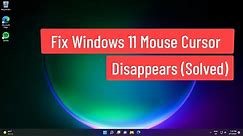Fix Windows 11 Mouse Cursor Disappears (Solved)