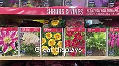 Lowe's -Seeds , Shrubs & Vine Starters