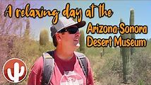Discover Tucson AZ: Best Attractions and Activities
