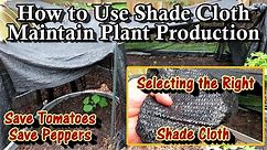 Beat the Heat - How to Select & Use Shade Cloth in Your Garden: Keep Tomatoes & Peppers Producing!