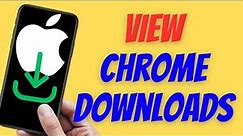 How to View Chrome Downloads on iPhone & iPad (iOS)