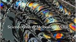 Visit DARK MATTERS at Science Gallery Melbourne