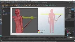 Creating a Character Rig: Appendix D - Freezing T-Pose as the zero position