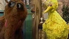 Opening To Sesame Street - Big Bird Sings! (1995 VHS)