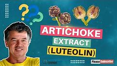 Artichoke Extract (Luteolin)