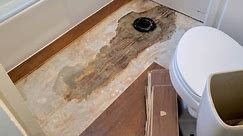Under Toilet Fiber Paper Laminate Leak Disaster