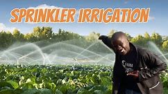 Installing Sprinkler irrigation system using simple materials