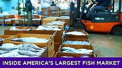 Inside America's largest fish market