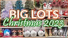 BIG LOTS CHRISTMAS 2023 DECOR SHOP WITH ME! CHRISTMAS TREES ORNAMENTS DECORATIONS