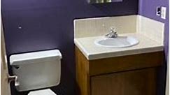 DIY Master Bathroom Remodel (Part 3)! #diy #bathroomremodel #bathroomrenovation #remodel #renovation #funnyshit #funnypictures #funnymeme #funnyvideo #funnyaf #funnypics | Max & Morrison