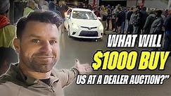 There are SO MANY CHEAP CARS at this Dealer Auction in Florida!