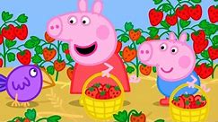 The Strawberry Farm 🍓 | Peppa Pig Official Full Episodes