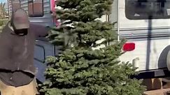 Always looking to... - Wenatchee's Best Christmas Trees