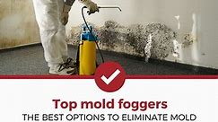 Top 5 Best Mold Foggers - Today's Homeowner