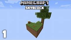A New Adventure - Minecraft Skyblock Let's Play | Part 1