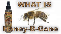 What Is Honey-B-Gone & How To Use It Properly
