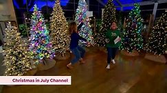 QVC and HSN TV Spot, 'Christmas in July'