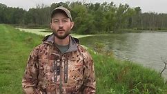 Mallard Movement in the Great Lakes: What Duck Hunters Need To Know