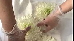 Drying memorial flowers & pouring resin #flowerpreservation #dryingflowers #motherslove_never_ends #driedflowers #dryflowers #dryflowersresin