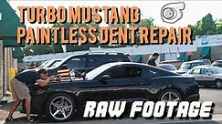 Turbo Mustang Hood Repair | Paintless Dent Removal | Dentless Touch