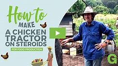 How to Make a Chicken Composting System