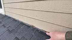 Discussion on Siding Repair at Roof Edge