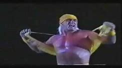 Hulk Hogan v. Keiji Mutoh