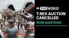 Controversial T-Rex skeleton auction scrapped in Hong Kong | The World - The Global Herald