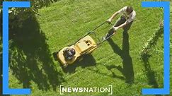California phasing out gas-powered lawn tools | On Balance