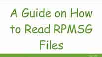 A Guide on How to Read RPMSG Files