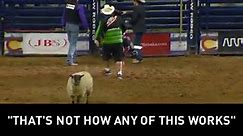 National Western Stock Show mutton busting fail