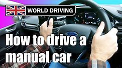 How To Drive a Manual Car for Beginners With Simple Clutch Tips