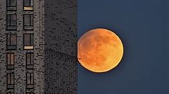 Orange moon sinks below Providence skyline in stunning time lapse footage