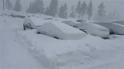 Cars covered in snow near Donner Pass Road