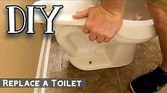 How To Remove, Install | Replace a Toilet - Easy DIY Mansfield Pro-Fit