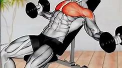 Top 5 chest exercise with dumbbells