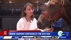 Horse camping confusion at the NYS Fair