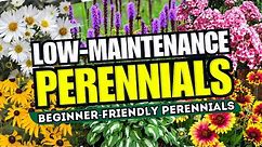 😍 Top 10 Low-Maintenance Perennial Flowers ANYONE Can Grow! - Beginner-Friendly 🌼💪