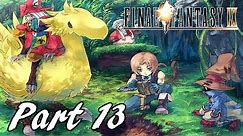 Final Fantasy IX HD Walkthrough Part 13 - Chocobo Forest