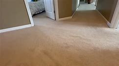 Compass Carpet Repair - Carpet Stretching Wrinkles In Amelia OH 45102 Before & After Results 03/25/2024 Compass Carpet Repair & Cleaning Cincinnati OH - Northern Kentucky compasscarpetrepair.com https://cincinnaticarpetrepair.com/amelia-oh/