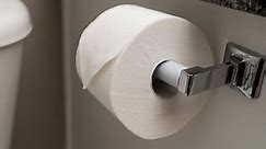 The 5 Best Toilet Papers (2024 Review)