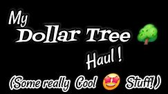 Before PRICES 😨 go UP I am STOCKING Up! Please 👍 & Share ❤️ #dollartree #nomad #vanlife