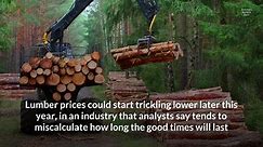Lumber Prices, Stocks Soar — But Can The Industry Manage The Windfall?