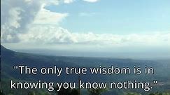 "The only true wisdom is in knowing you know nothing." - Socrates