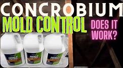 DIY Concrobium Mold Control Solution Spray Application and Results | Attic Black Mold Remediation