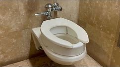 Women’s Restroom | American Standard Toilet Flush | Norton Simon Museum, Pasadena, California, USA