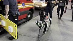 Robotic dog, drones bolster response to NYC parking garage collapse