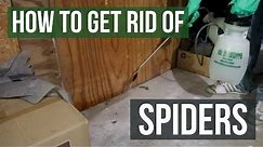 How to Get Rid of Spiders Guaranteed (4 Easy Steps)